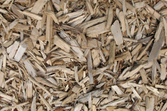 biomass boilers Plusterwine